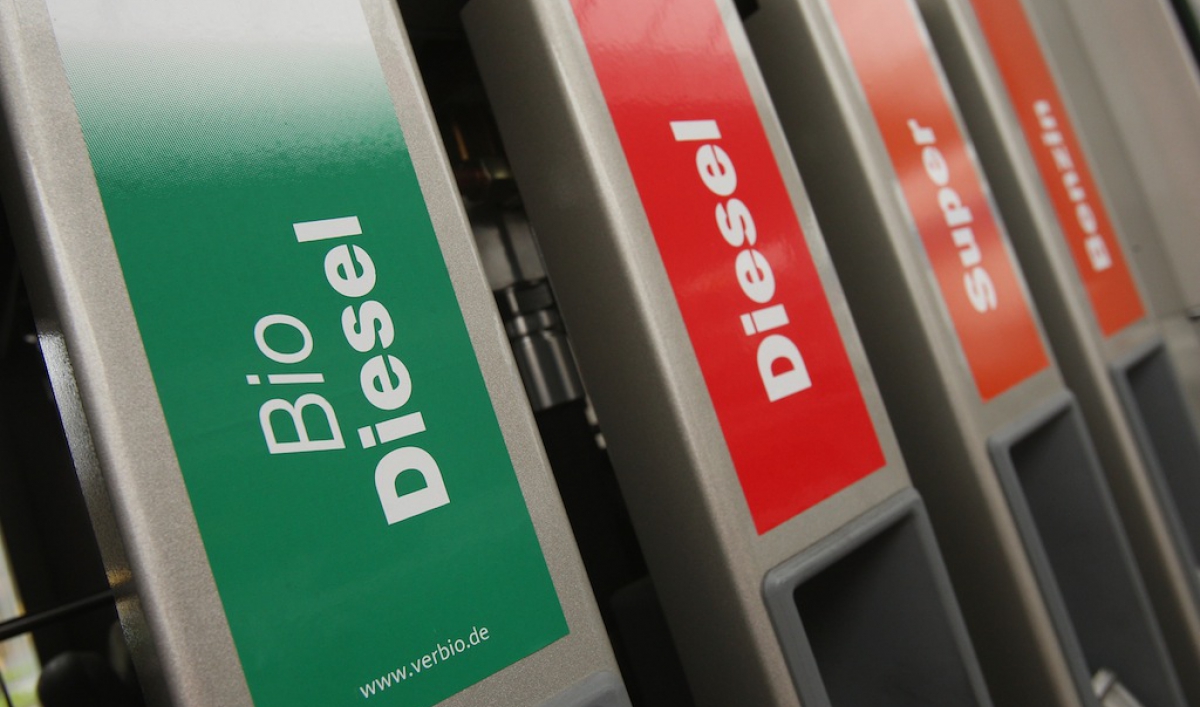 BioBot 20 Your home biodiesel kit The World from PRX