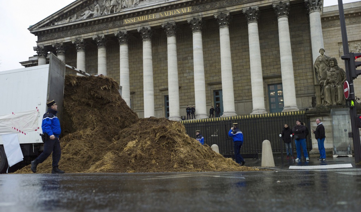 Protester dumps tons of horse manure outside French parliament The World from PRX