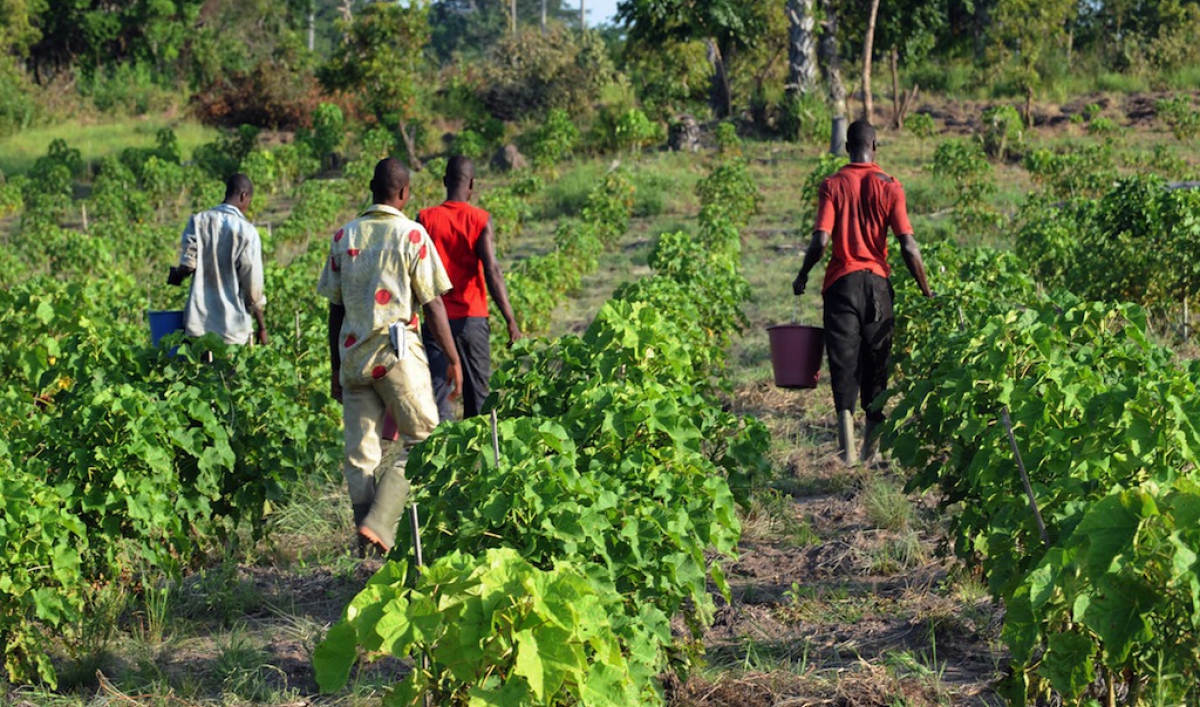 tanzanian land grabbing essay Curbing tanzania’s “land grabbing race tanzanian ngo land rights research and resources institute said that of the 1,825 general land disputes reported in. tanzanian land grabbing essay Curbing tanzania’s “land grabbing race tanzanian ngo land rights research and resources institute said that of the 1,825 general land disputes reported in.
