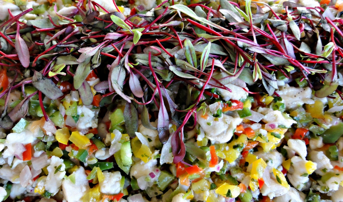 Tired of sweating over the stove? Try cooking with science this summer. The World from PRX