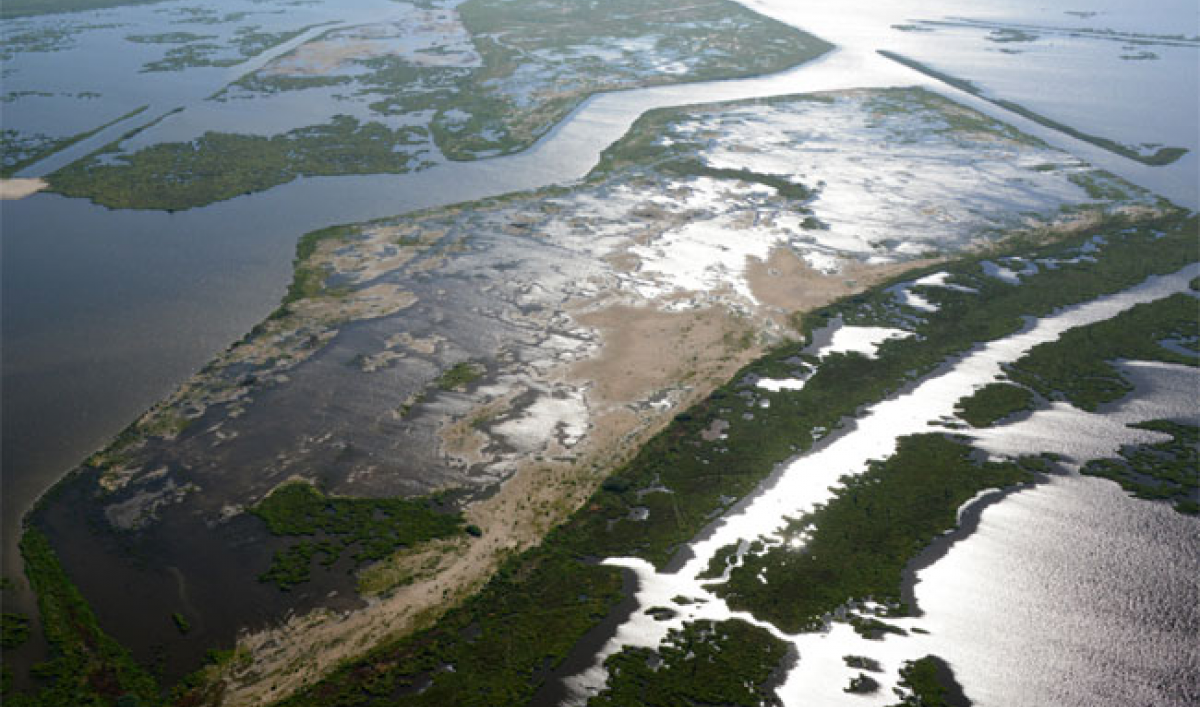 The 50 billion plan to save Louisiana's wetlands Public Radio