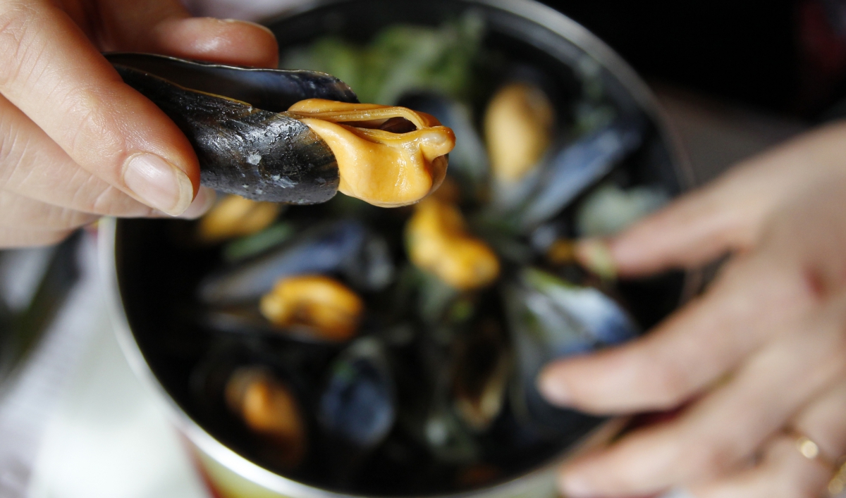 To understand climate change, look at it from a mussel's perspective