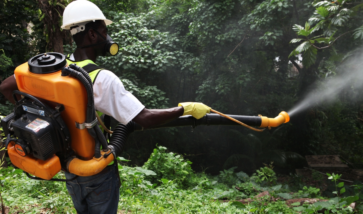 Jamaica declares a state of emergency over the mosquitoborne