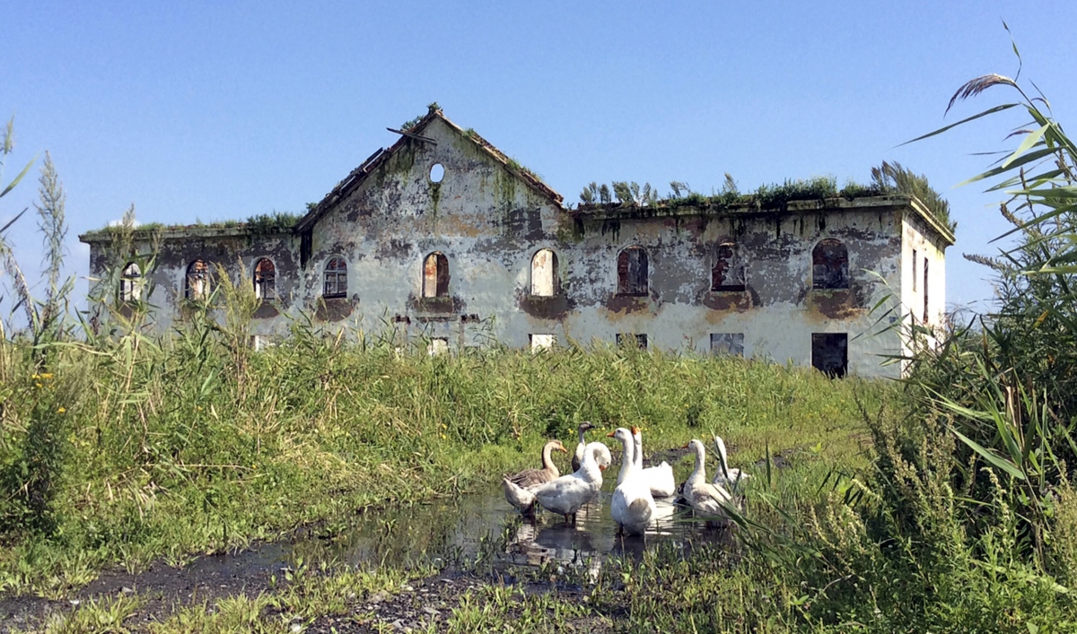 Russia is literally giving away land for free The World from PRX