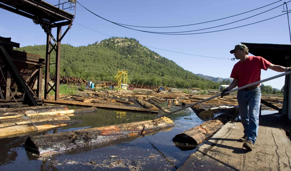 As logging disappears, rural Oregon struggles to put its financial