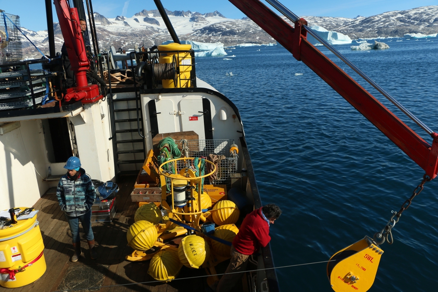 Fiamma Oceanographer Fiamma Straneo peers into the Sermilik fjord from the deck of the Adolph Jensen, a converted fishing trawler. Straneo and her team of researchers are probing the depths of this and other fjords in the region for clues to the rate and source