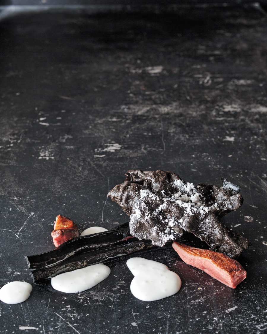 "Winter squab." "Winter squab."