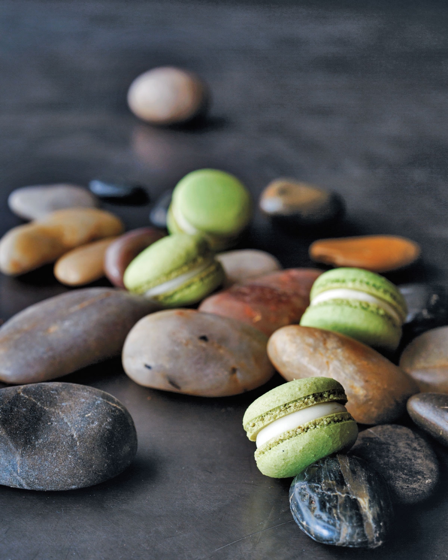 "Cedar macarons." "Cedar macarons."