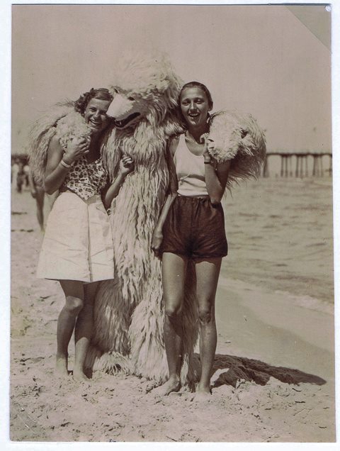 The bear has his arms around two women at the beach The bear has his arms around two women at the beach