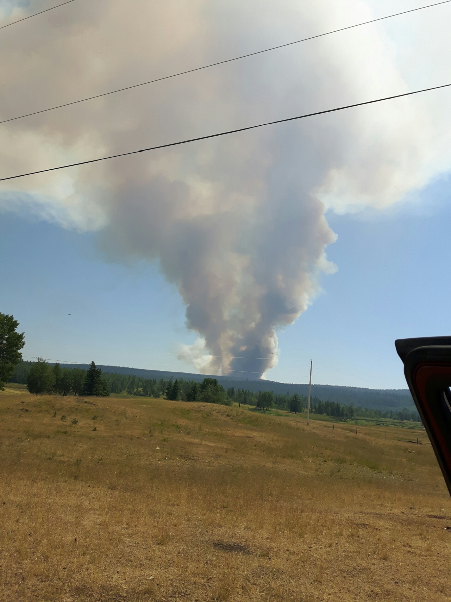 On July 6, Lynn Landry could see a column of smoke in the distance from a nearby forest fire. The fire advanced until it consumed the ridge near her house and she had to evacuate. On July 6, Lynn Landry could see a column of smoke in the distance from a nearby forest fire. The fire advanced until it consumed the ridge near her house and she had to evacuate.