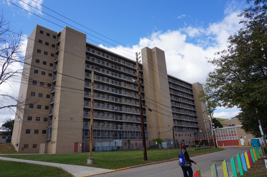 Brown high-rise building with sidewalks, tree in front, against blue sky