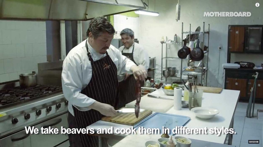 Cooking beaver Chef Luis Gonzalez, owner of Remezon Restaurant in the town Punta Arenas in Chile, prepares a dish made from beaver meat.