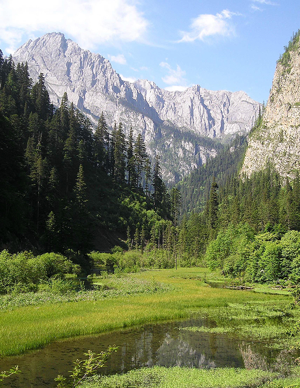 China’s conservation policies banned logging and employed locals as park rangers, protecting forests so that they could regrow. The recovery of a forest in the Min Mountains, Sichuan Province, is pictured here. (Photo: Andrés Viña)