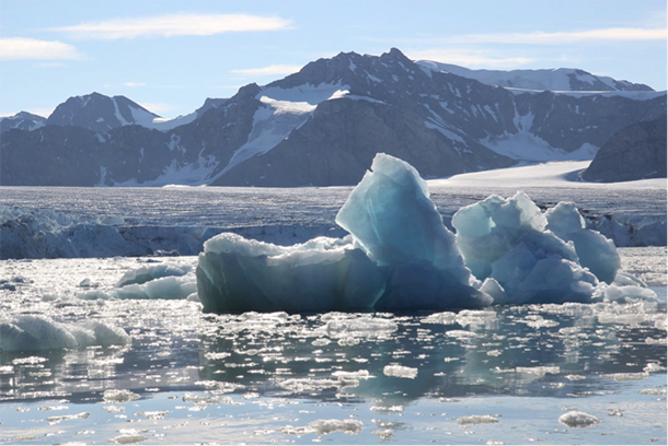 The Arctic