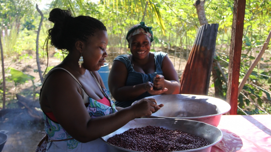 Garifuna in Honduras try to save traditional culture after increased ...