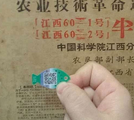 QR code