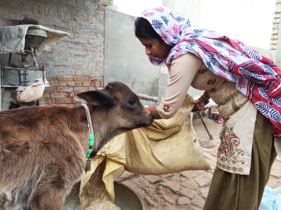 Sreeja Singh Berwal Sreeja Singh Berwal w/goat