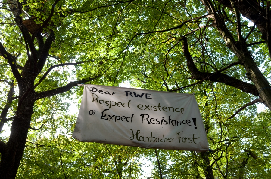 The climate camp in Germany's Hambach Forest.