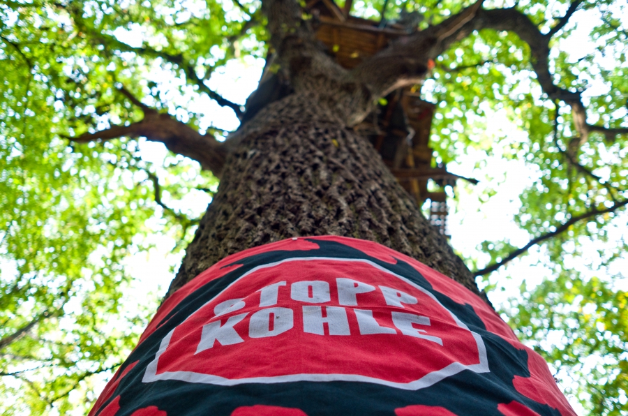 A banner around an oak tree in the ancient Hambach forest reads “stop coal.”