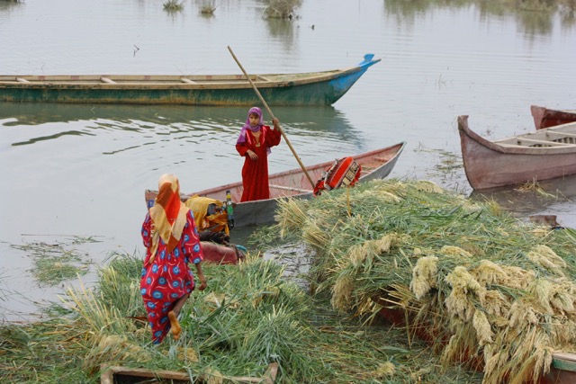 WomenInBoats WomenInBoats