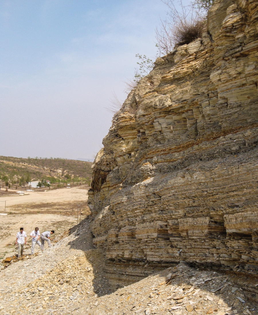 Fossil hunters have found many well preserved specimens in shale formations around Sihetun