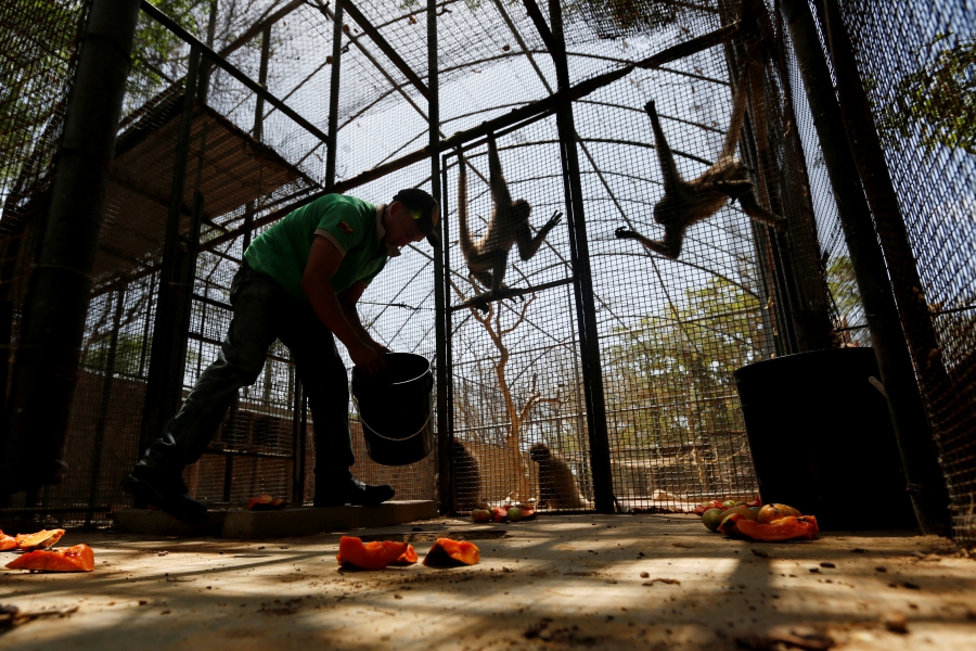 Venezuela Zoo Animals