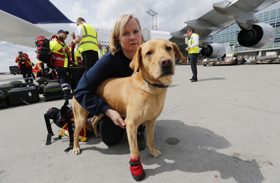 Rescue dog