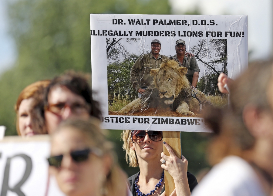 Zimbabwea Hunter