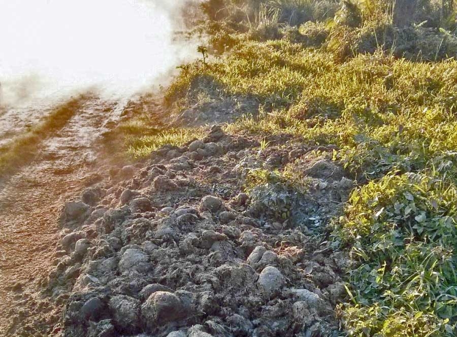 Rhino dung is rich in fiber useful in making paper, and relatively easy to find in the animals' territory. One rhino can drop up to 900 pounds in one spot over 10 days or so. Rhino dung is rich in fiber useful in making paper, and relatively easy to find in the animals' territory. One rhino can drop up to 900 pounds in one spot over 10 days or so.