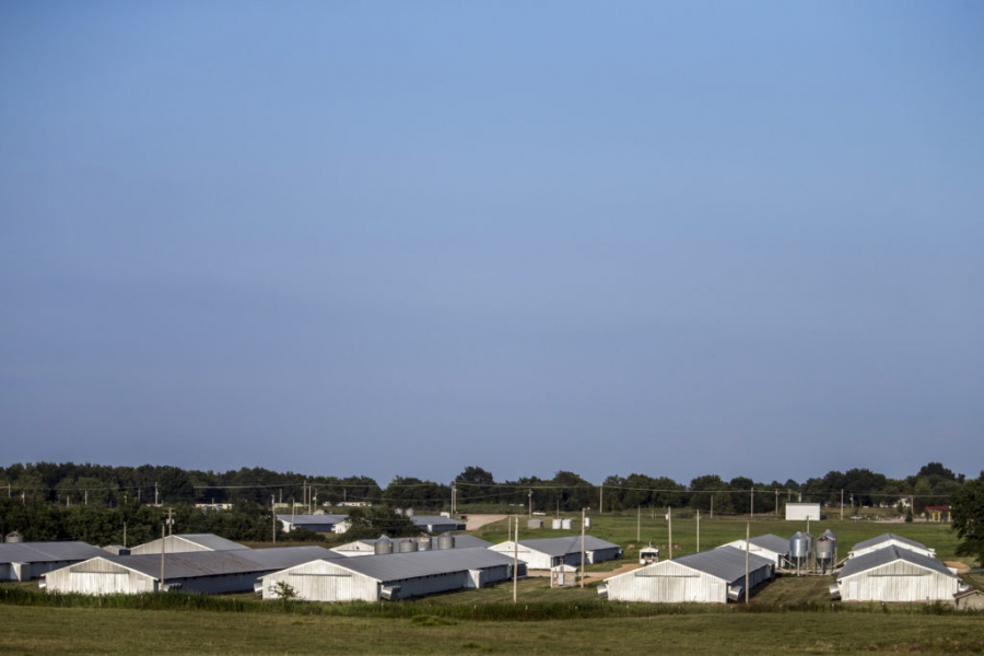 Simmons Foods now is so reliant on CAAIR for some shifts that the plants likely would shut down if the men didn’t show up, according to former staff members and plant supervisors.