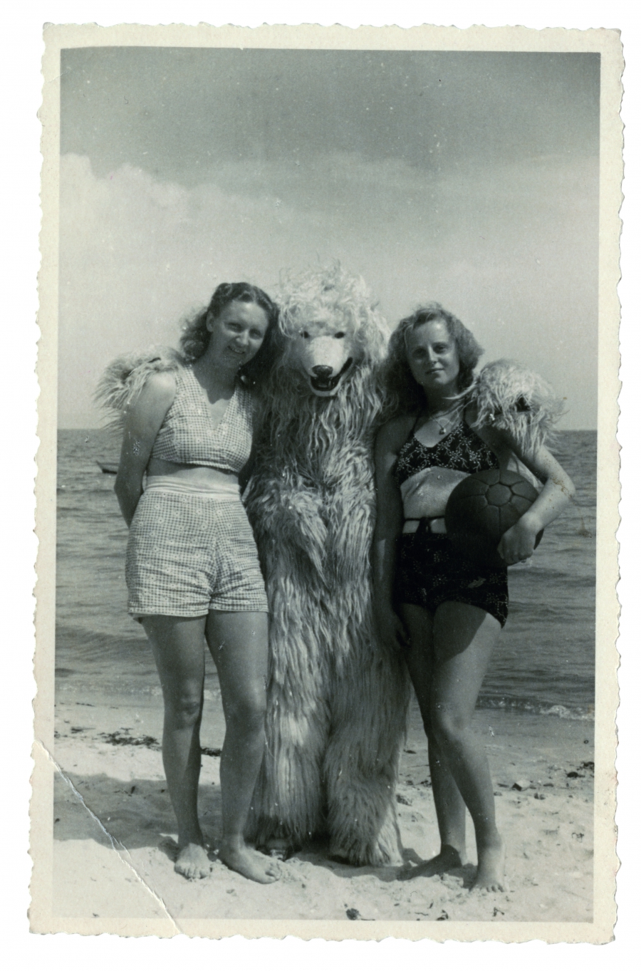 A polar bear on the beach with his arms around two bathing beauties. A polar bear on the beach with his arms around two bathing beauties.