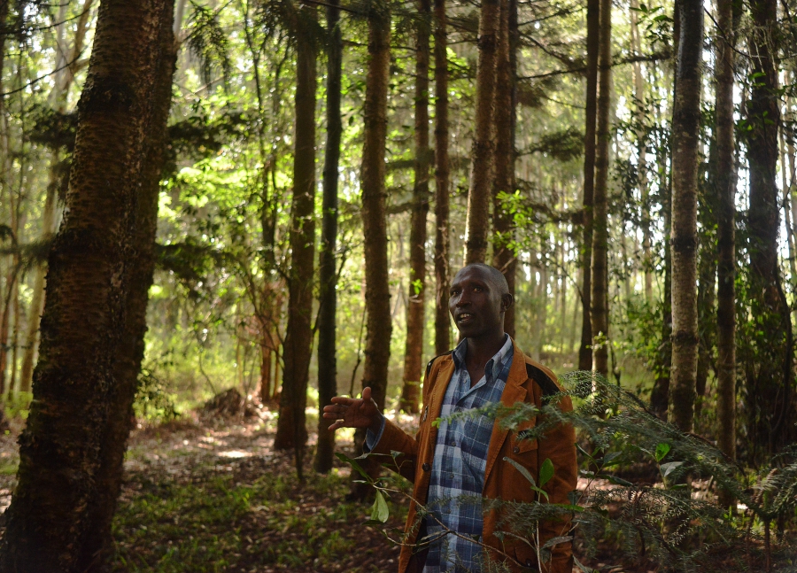 Elias Kimaiyo says the Kenya Forest Service has burned down his home repeatedly as part of a push to evict him and other members of the Senger, an indigenous tribe, from the forests where they have lived for generations. "Most of the time," Kimaiyo says, Elias Kimaiyo says the Kenya Forest Service has burned down his home repeatedly as part of a push to evict him and other members of the Senger, an indigenous tribe, from the forests where they have lived for generations. "Most of the time," Kimaiyo says,