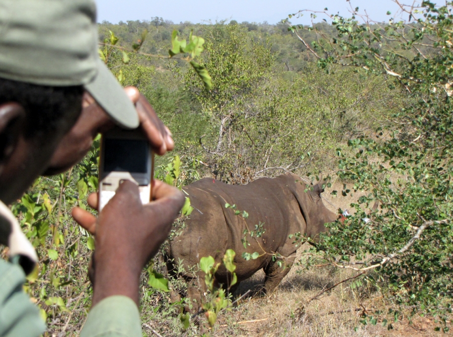 A local takes a photo of Rhino after it has been treated by Rhino Rescue. A local takes a photo of Rhino after it has been treated by Rhino Rescue.