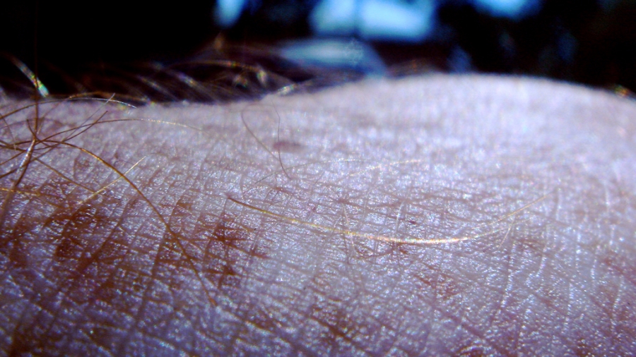 Skin Close Up Karl Koehler, a researcher at the Indiana University School of Medicine, says that skin is underappreciated because of its complexity.