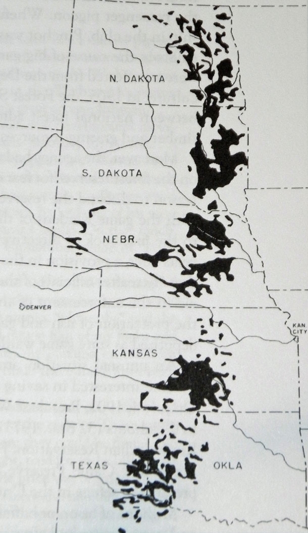 Shelterbelt Plains area