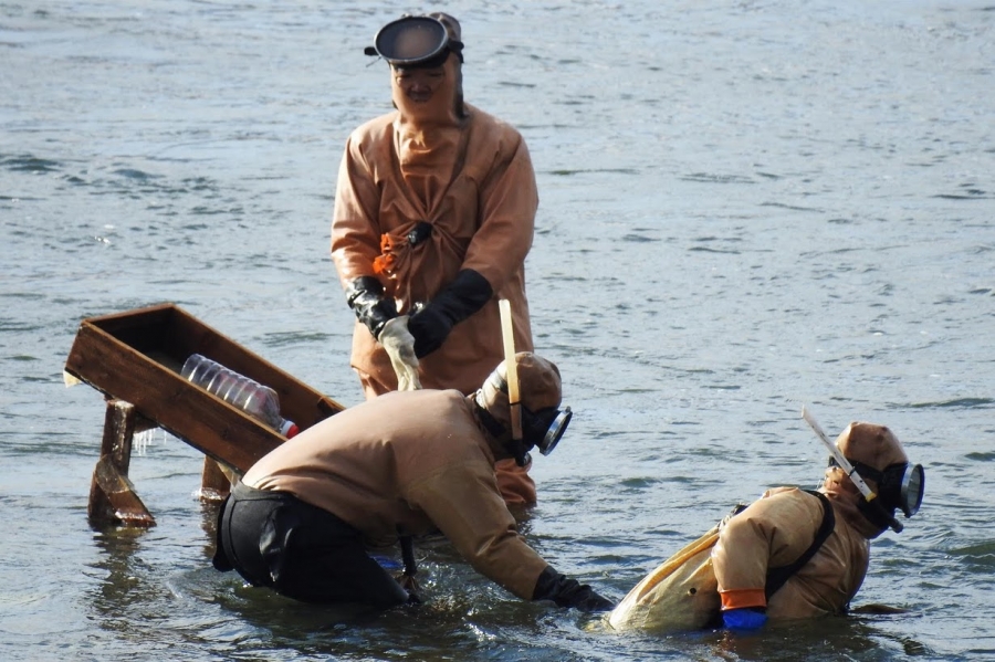 North Koreans are photographed from the Chinese side of the border as they as they stand in the freezing Yalu River. Chinese locals said they were searching for gold.