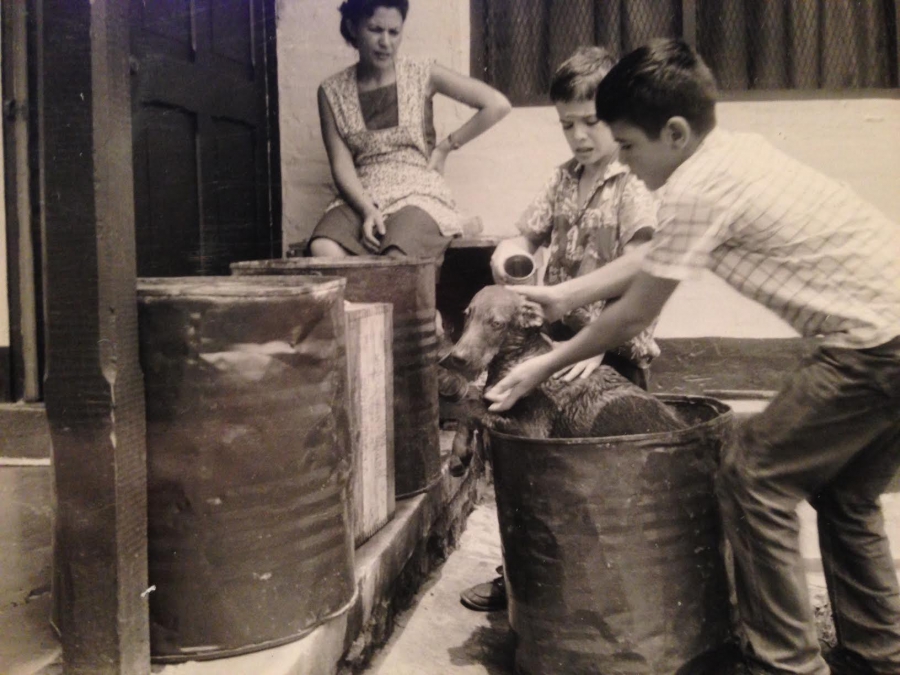 Brothers John and George Campbell wash their pet dog while their mother, Hortensia, watches. Photo taken in Segovia, Colombia. Brothers John and George Campbell wash their pet dog while their mother, Hortensia, watches. Photo taken in Segovia, Colombia.
