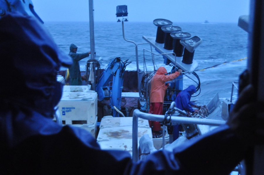 As sardine stocks dwindle, Portuguese fishermen's futures in question