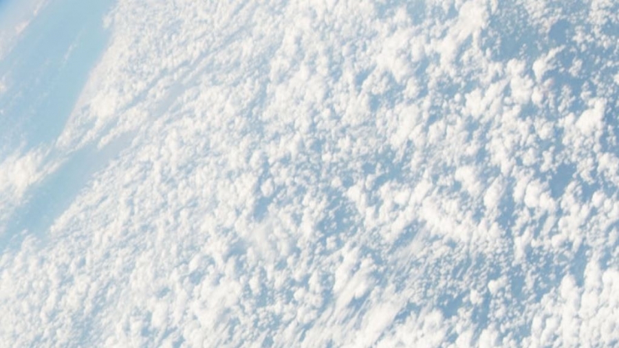 Ozone Depletion Since 2002, scientific data pointed to a slower decline of CFC-11, one of several chemical substances banned by the Montreal Protocol in 1987. The amount of CFC-11 found in the atmosphere has actually gone up during that time, prompting the United Nations