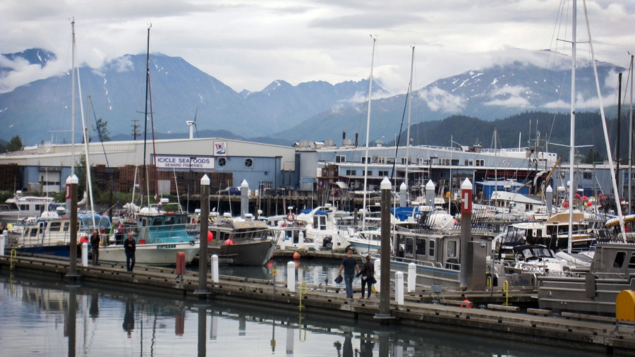 A business on the edge of a dock says "Icicle Seafoods." Ships are docked nearby.