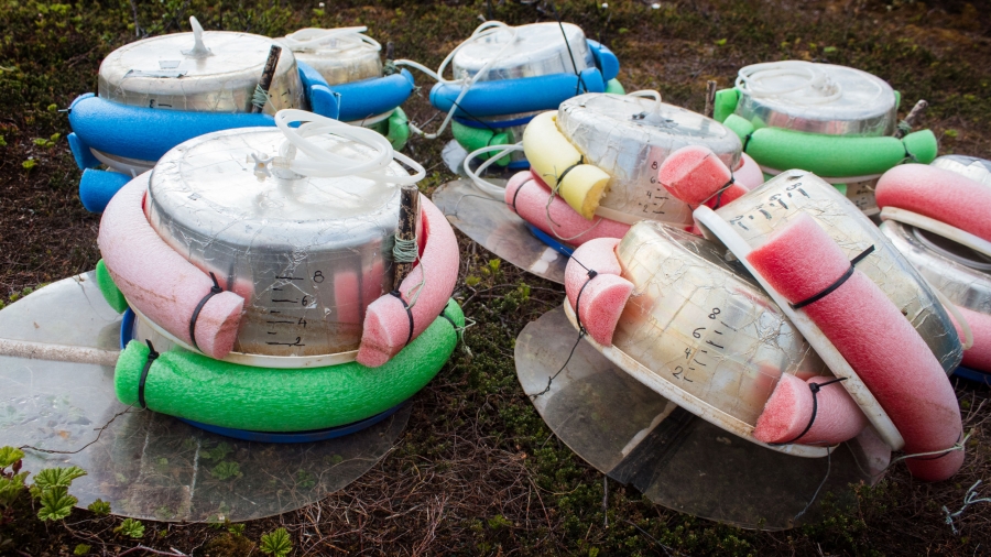 Colorful foam pool noodles are wrapped around a clear container with handwritten markings on it