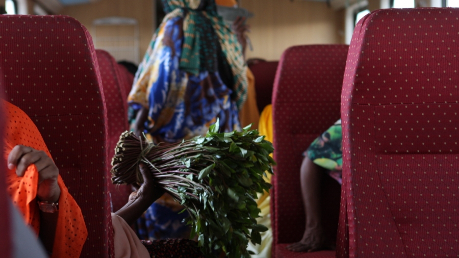 A bundle of khat on the train from Addis Ababa to Djibouti City. 