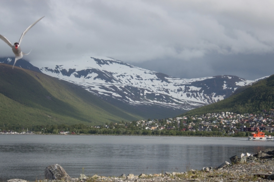 Tromsø, Norway