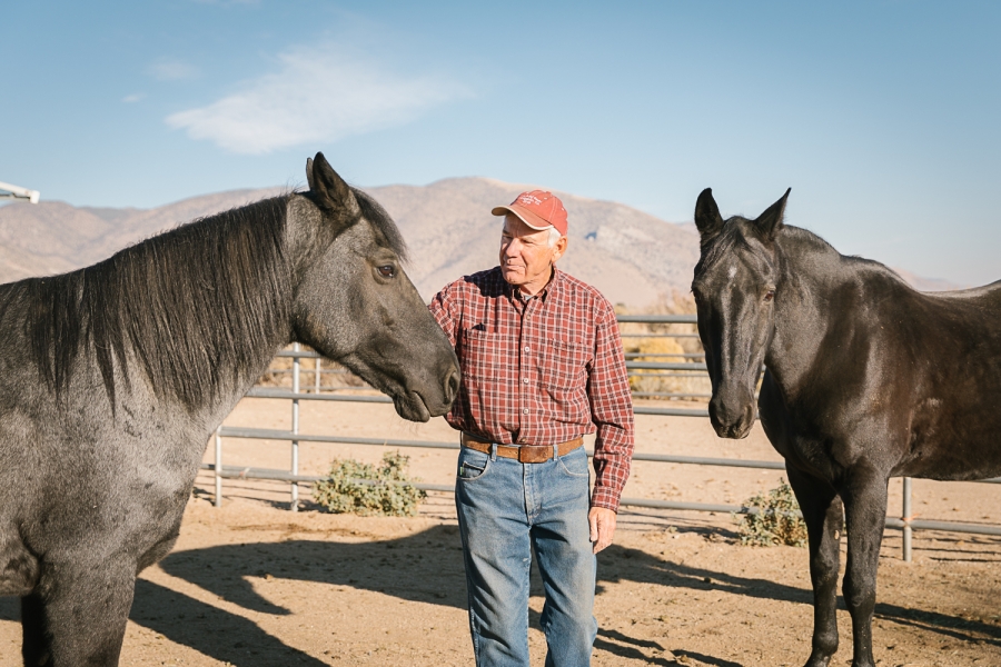 While Nevada's lax tax environment has been a draw for dairy farmers, it has also attracted retirees. But Smith Valley locals don't want to live next to mega-dairy farms, and are working to rally support against the plant. An older man stands between two horses.