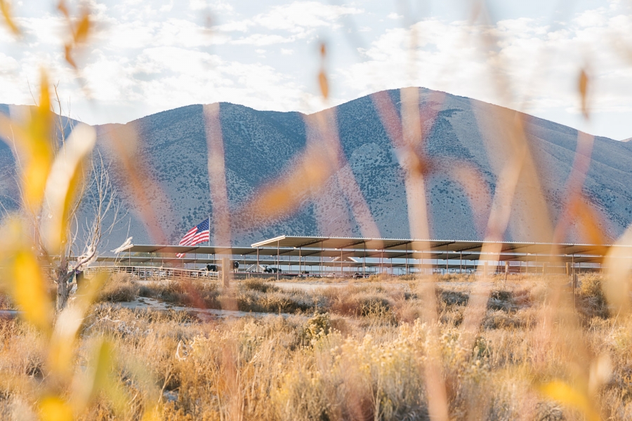 Dairy Farmers of America invested nearly $100 million in the Fallon, Nevada, plant, which turns 1.5 million pounds of milk daily into 250,000 pounds of whole milk powder. A dairy farm is seen through mountain brush.