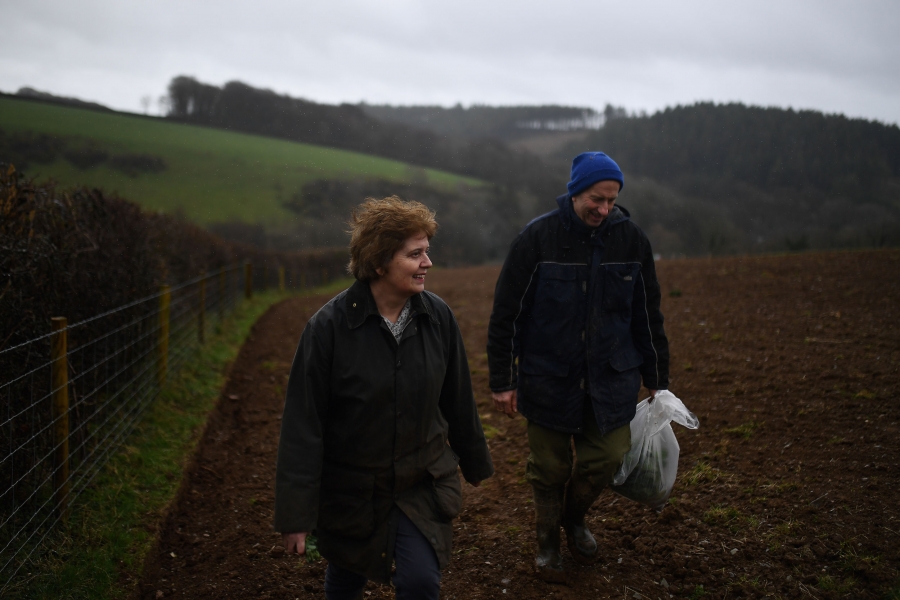 Helen and Andrew Arnold walk through their brassica and sheep farm. A man and woman are shown walking in a dirt field along side a metal and wood-post fence.
