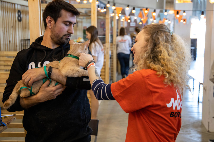A voluteer plays with a cat up for adoption at WOOF Fest. A man is shown holding a cat with the woman across from him scratching the cat's head.