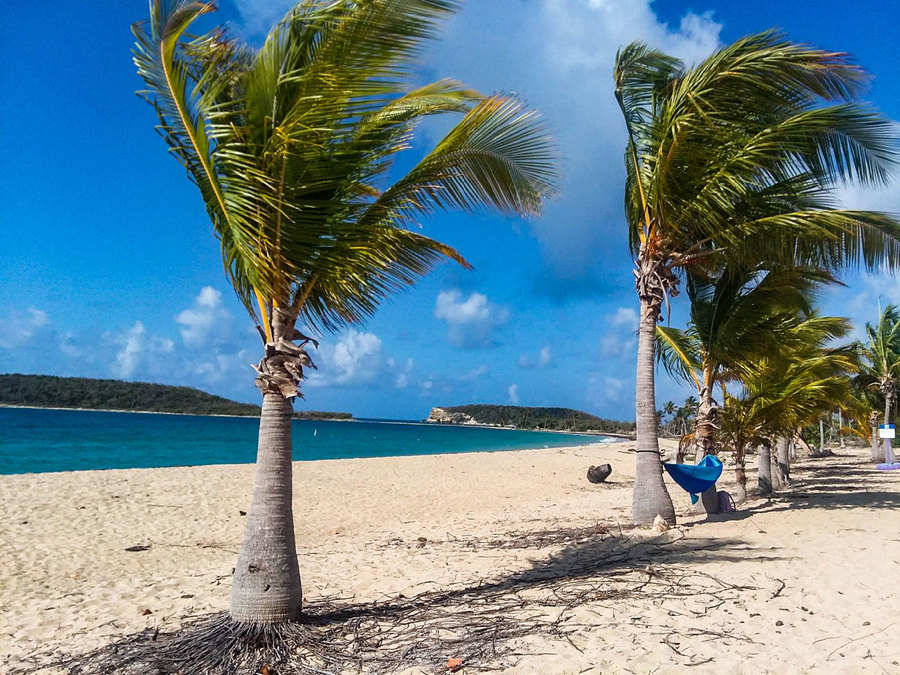 A beach in Esperanza. A blue hammock is shown hanging between palm trees on a blonde sandy beach.