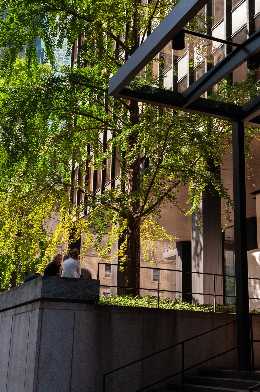 A view of the Seagrams Building plaza from the street. A view of the Seagrams Building plaza from the street.