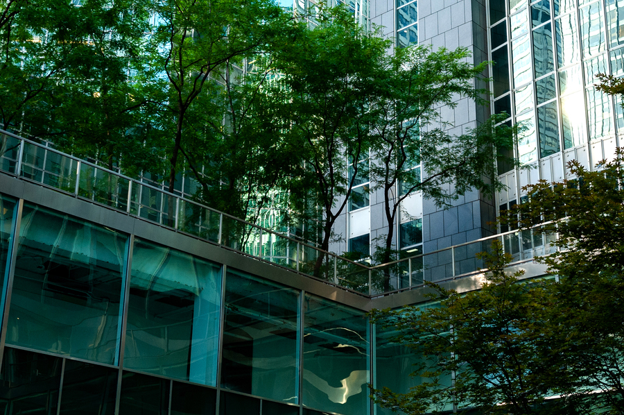 The facade of the Lever House. The facade of the Lever House.